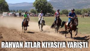 RAHVAN ATLAR KIYASIYA YARIŞTI