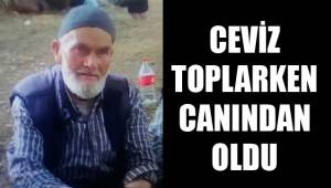 AĞAÇTAN DÜŞEN ADAM ÖLDÜ