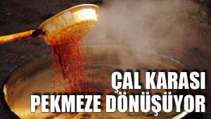 ÇAL KARASI’NDAN PEKMEZ YAPIMI BAŞLADI
