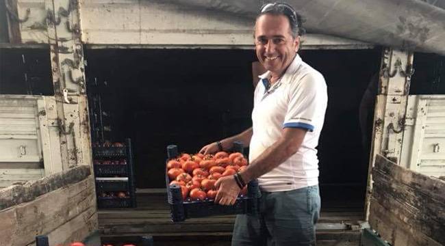 DOMATES ÜRETİCİSİNİN YÜZÜ GÜLÜYOR