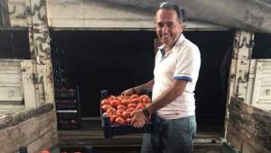 DOMATES ÜRETİCİSİNİN YÜZÜ GÜLÜYOR