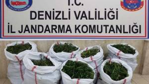 Buldan'da; 37 kilo 250 gram esrarı jandarma buldu