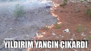 YILDIRIM YANGIN ÇIKARDI