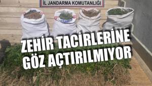 ZEHİR TACİRLERİNE GÖZ AÇTIRILMIYOR