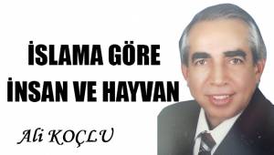 İslama Göre İnsan ve Hayvan