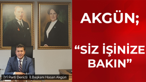 Siz işinize bakın
