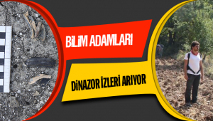 Bilim adamları Denizli'de dinozorların izini arayacak