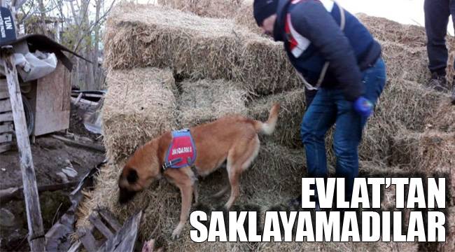 Evlat’tan saklayamadılar