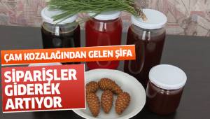 KOZALAKTAN GELEN ŞİFA