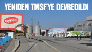 Aynes yeniden TMSF'ye devredildi