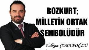 BOZKURT MİLLETİN ORTAK SEMBOLÜDÜR