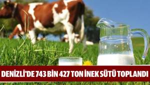 743 bin 427 ton inek sütü toplandı
