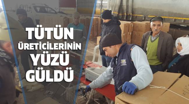 Denizli’nin Çameli İlçesinde özel şirketler 2019 ürünü tütünlerin alımına başladı.
