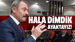 DİMDİK AYAKTAYIZ!