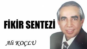 Fikir Sentezi