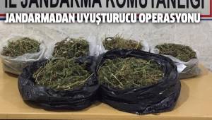 HONAZ’ DA UYUŞTURUCU OPERASYONU