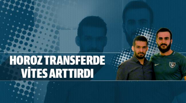 HOROZ TRANSFERDE VİTES ARTTIRDI