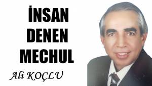 İnsan denen mechul
