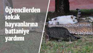 Öğrencilerden sokak hayvanlarına battaniye yardımı