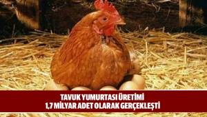 Tavuk yumurtası üretimi 1,7 milyar adet olarak gerçekleşti