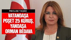 VATANDAŞA POŞET 25 KURUŞ, YANDAŞA ORMAN BEDAVA