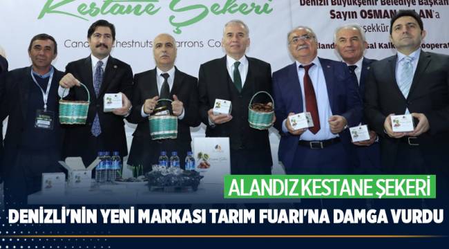 Büyükşehir ile Denizli kazanmaya devam ediyor