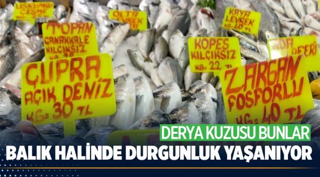 Denizli balık halinde durgunluk yaşanıyor