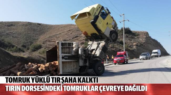 Tırın dorsesindeki tomruklar çevreye dağıldı