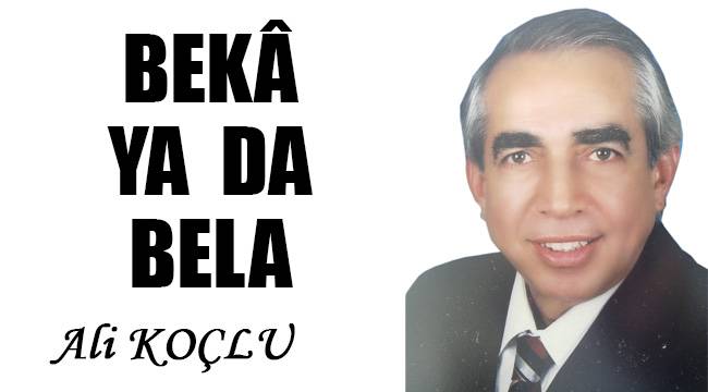 BEKÂ YA DA BELA