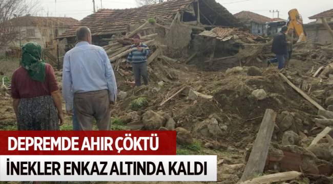 DEPREMDE AHIR ÇÖKTÜ, İNEKLER ENKAZ ALTINDA KALDI
