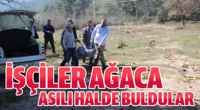 İNŞAAT İŞÇİLERİ AĞAÇTA ASILI CESEDİ GÖRÜNCE ŞOKA GİRDİ