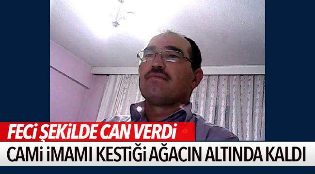 KESTİĞİ AĞACIN ALTINDA KALARAK HAYATINI KAYBETTİ
