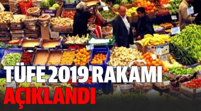 Tüketici Fiyat Endeksi, Şubat 2019
