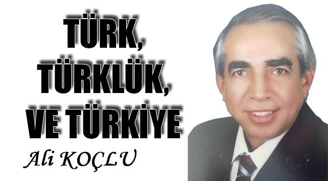 Türk, Türklük ve Türkiye