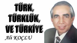 Türk, Türklük ve Türkiye