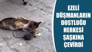Ezeli düşmanların dostluğu herkesi şaşırttı