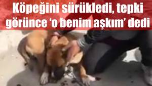 Köpeğini sürükledi, tepki görünce ‘o benim aşkım’ dedi