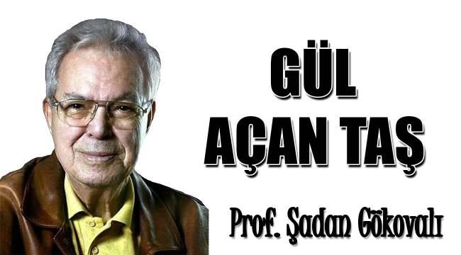 GÜL AÇAN TAŞ