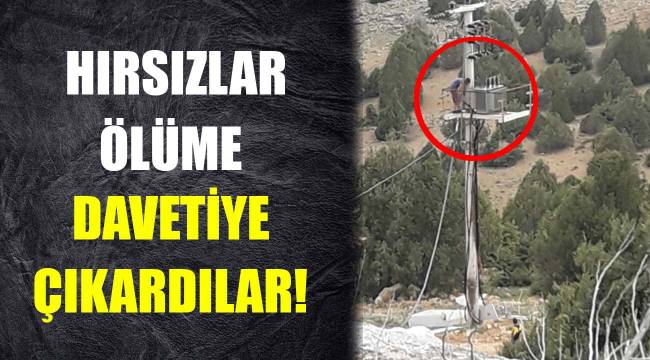 Hırsızlar ölüme davetiye çıkardılar!