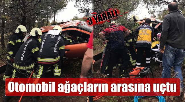 Otomobil ağaçların arasına uçtu: 3 yaralı