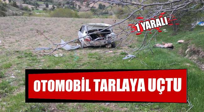 Otomobil tarlaya uçtu