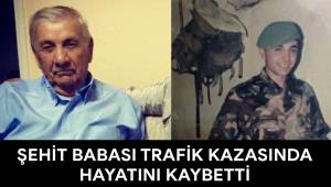 Şehit babası kazada hayatını kaybetti
