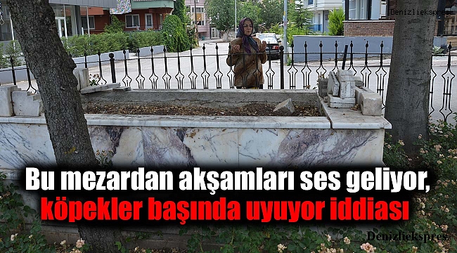 Bu mezardan akşamları ses geliyor, köpekler başında uyuyor iddiası