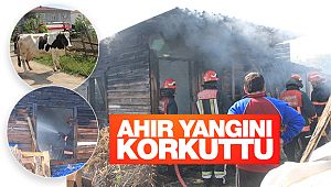 Çal'da ahır yangını korkuttu