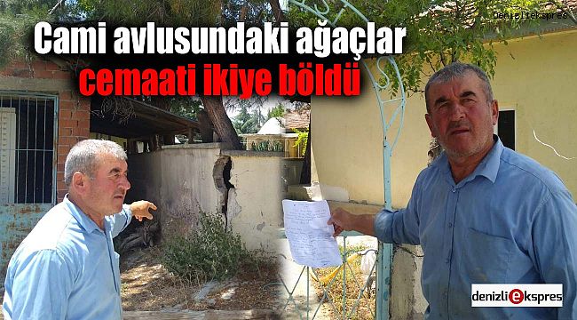 Cami avlusundaki ağaçlar cemaati ikiye böldü