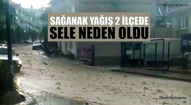 Sağanak yağış 2 ilçede sele neden oldu