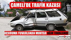 Uçuruma yuvarlanan muhtar ağır yaralandı