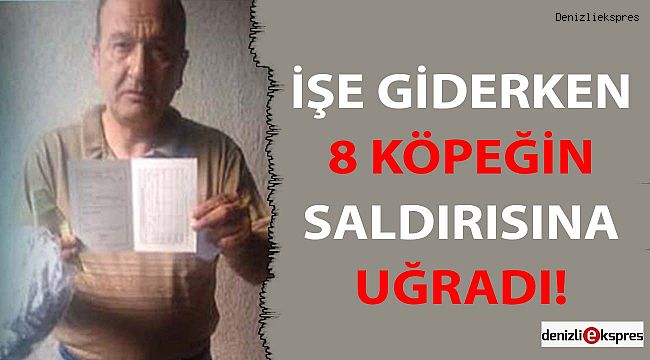 8 Köpek saldırdı ama bakın o ne dedi