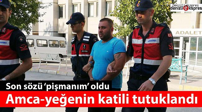 Amca-yeğenin katili tutuklandı