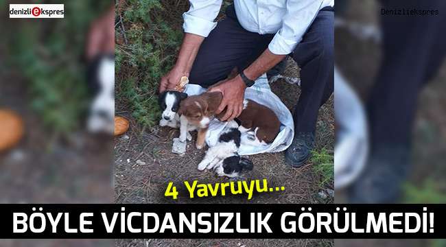 Bunu yapan insan olamaz...